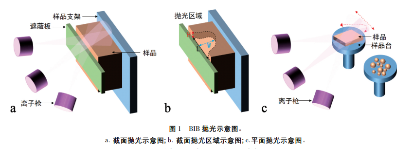 氩离子抛光机示意图