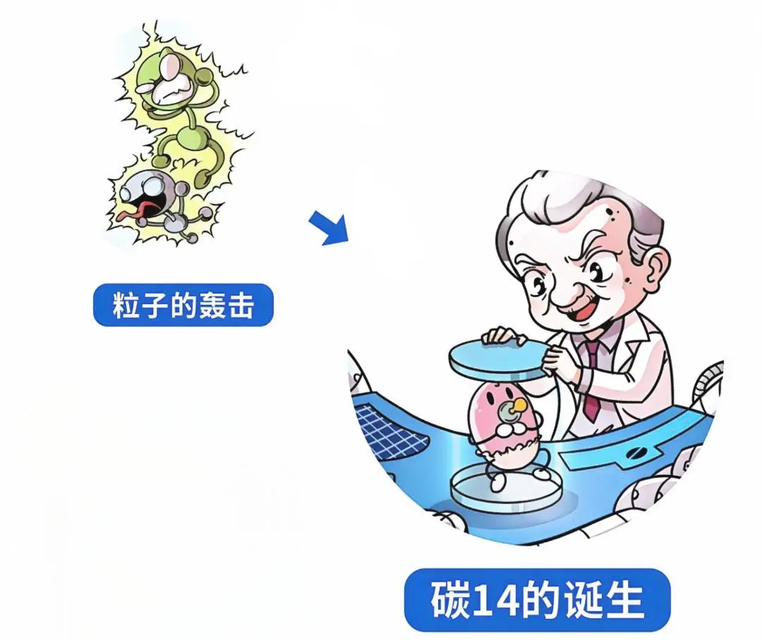碳14的应用